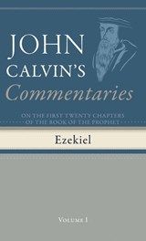 Commentaries on the First Twenty Chapters of the Book of the Prophet Ezekiel, Volume 1 - John Calvin - 9798385216857