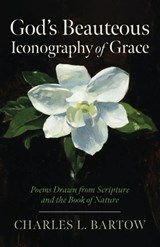 God's Beauteous Iconography of Grace - Charles L Bartow - 9798385264674
