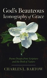 God's Beauteous Iconography of Grace - Charles L Bartow - 9798385264681