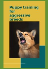 Puppy Training for Aggressive Breeds
