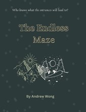 The Endless Maze