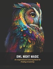 Owl Night Magic
