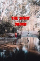 The Spirit Sworn - RASHEED,  Muhammad Tahir - 9798407054214