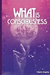 What Is Consciousness