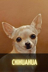 Chihuahua - SID,  Ilya - 9798517498670
