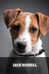 Jack Russell - SID,  Ilya - 9798519062725
