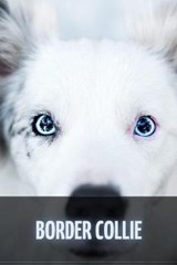 Border Collie - SID,  Ilya - 9798519575355