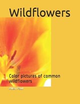 Wildflowers - PAUL,  Allen - 9798526228220