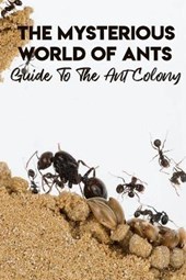 The Mysterious World Of Ants Guide To The Ant Colony