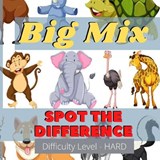 Big Mix - Spot the difference - Stephen John Peel - 9798669116651