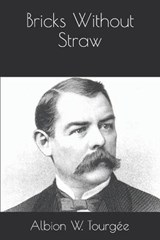Bricks Without Straw - Albion W Tourgee - 9798680141946