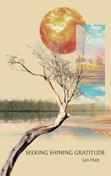 Seeking Shining Gratitude - Les Hait - 9798765266731
