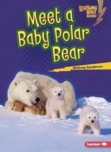 Meet a Baby Polar Bear - Whitney Sanderson - 9798765603260