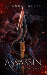 Assassin - Joanna White - 9798817295009