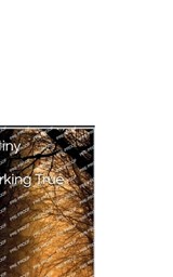 Jack's Destiny - PATERSON,  Michael - 9798834234685