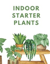 Indoor Starter Plants