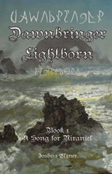 A Song for Niraniel - Joshua Elzner - 9798852303820