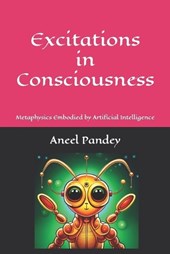 Excitations in Consciousness