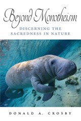 Beyond Monotheism - Donald A. (Colorado State University) Crosby - 9798855804157