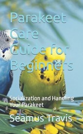 Parakeet Care Guide for Beginners