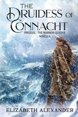 The Druidess of Connacht - Elizabeth Alexander - 9798858782070