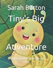 Tiny's Big Adventure