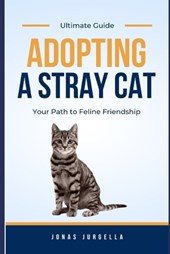 Adopting A Stray Cat (Ultimate Guide)