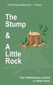 The Stump and a Little Rock