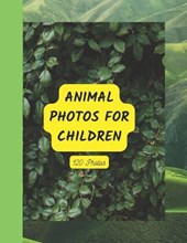 Animal Photos for Children