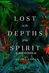 Lost in the Depths of the Spirit