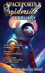 Spaceports & Spidersilk February 2024 - Marcie Lynn Tentchoff - 9798869187192