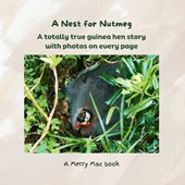 A Nest for Nutmeg