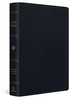 ESV Giant Print Personal Size Bible, Red Letter - Esv Bibles - 9798874906603