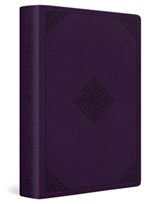 ESV Giant Print Personal Size Bible, Red Letter - Esv Bibles - 9798874906627