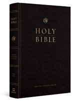 ESV Pew and Worship Bible, Large Print - Esv Bibles - 9798874906689