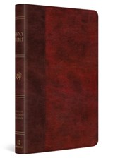 ESV Large Print Thinline Bible - Esv Bibles - 9798874906696
