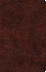 ESV Large Print Thinline Bible -  - 9798874906719
