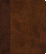ESV Journaling Bible -  - 9798874907587