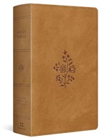 ESV Large Print Personal Size Bible, Red Letter -  - 9798874907709