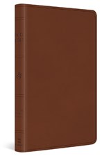 ESV Large Print Value Thinline Bible -  - 9798874907778