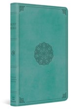ESV Large Print Value Thinline Bible - Esv Bibles - 9798874907792