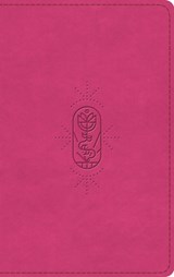 ESV Kid's Bible, Thinline, Red Letter - Esv Bibles - 9798874907853