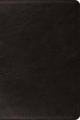 ESV Large Print Bible -  - 9798874907969
