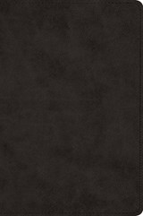 ESV Wide Margin Reference Bible, Red Letter -  - 9798874913106