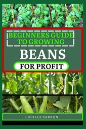 Beginners Guide to Beansfor Profit