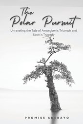 The Polar Pursuit