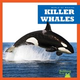 Killer Whales - Katie Chanez - 9798885245982
