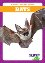 Bats - Natalie Deniston - 9798885246521
