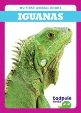Iguanas - Natalie Deniston - 9798885246644