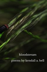 bloodstream - Kendall a Bell - 9798885968898